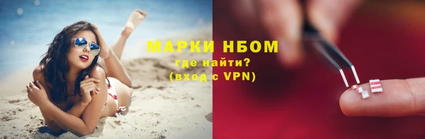 хмурый Зеленокумск