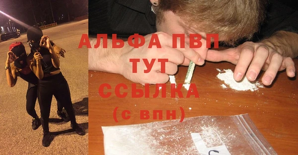 хмурый Зеленокумск