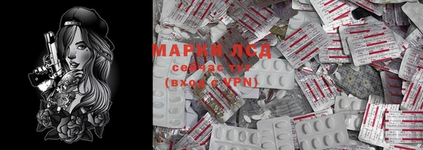 хмурый Зеленокумск