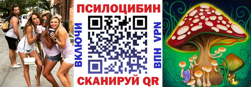 Псилоцибиновые грибы мицелий  Купить где  Рассказово 